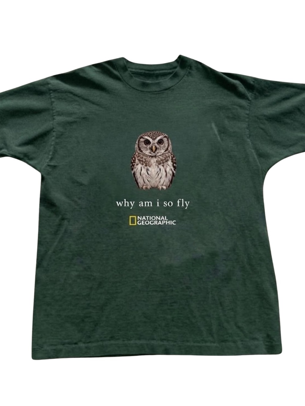 Gildan Dark Green 'Why Am I So Fly' Owl Graphic Tee